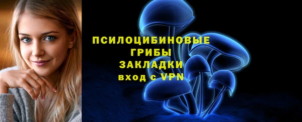 гидропоника Белоозёрский