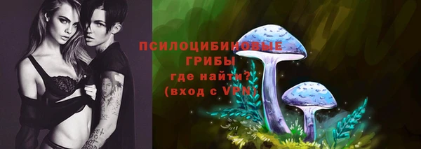 гидропоника Белоозёрский