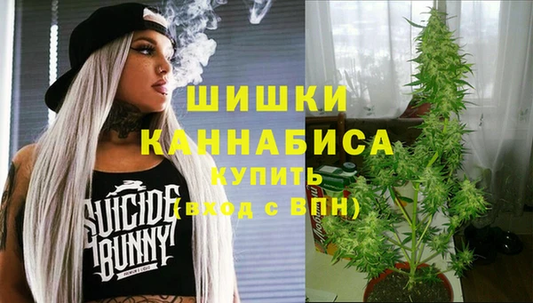 кокс Богородицк