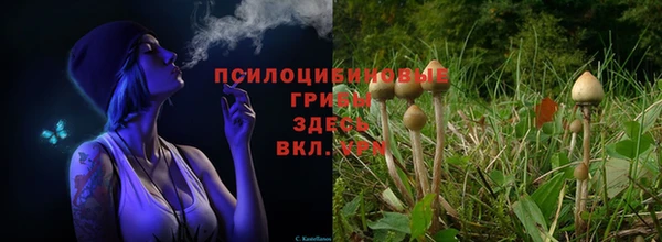 ALPHA PVP Беломорск