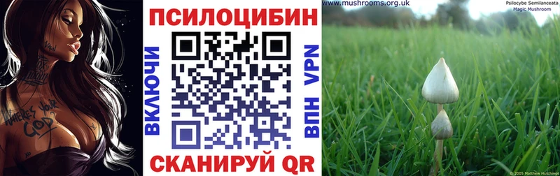 Галлюциногенные грибы Cubensis  дарнет шоп  Бугульма 