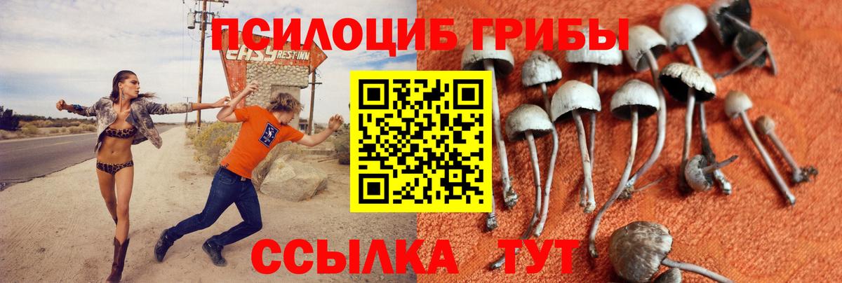Галлюциногенные грибы Psilocybine cubensis  Вход с VPN  Бугульма 